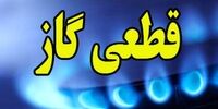 ممنوعیت استفاده از وسایل گرمایشی در فضای باز/ قطع گاز  ۹۵ واحد تجاری متخلف در روز دوم دی