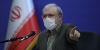 واکنش نمکی به اظهارات اخیر زیبا کلام