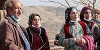 کنایه «ن خ» به انگلیسی حرف زدن خانم حامی تیم ملی در جام جهانی قطر + فیلم
