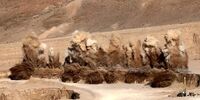 رونمایی از برنامه تهیه طرح جامع اکتشاف