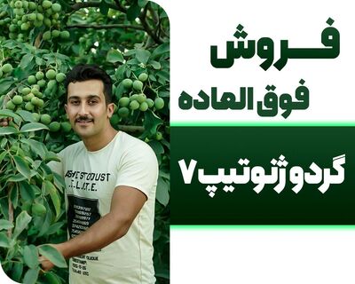 "نهال گردو" را با مجوز جهاد کشاورزی و قیمت باور نکردنی بخرید