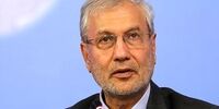 ربیعی: کسانی که روزی مخالف مذاکره بودند، پیش روی آن میشوند