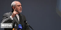 ظریف: برای حفظ شیعه و سنی باید مسیر اعتدال را بپیمائیم/ استفاده از «دیپلماسی فرهنگی و علمی» یک الزام اجتناب‌ناپذیر است