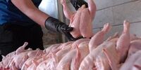 قیمت جدید مرغ در بازار تهران