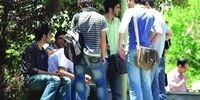 سهم بیکاران از بودجه 96