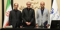 سرپرست مرکز بازرسی وزارت اقتصاد منصوب شد