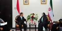 فرستاده ویژه روحانی با معاون رئیس جمهور اندونزی دیدار کرد