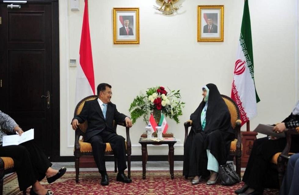 فرستاده ویژه روحانی با معاون رئیس جمهور اندونزی دیدار کرد
