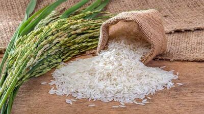 برنج مورد نیاز کشور چند تن است؟