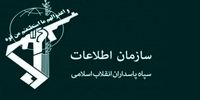 «ضربه» اطلاعات سپاه به اخلاگران بازار برنج