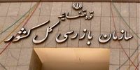 آقای سازمان بازرسی کشور! ناترازی فقط گردن دولت ها نیست/ یقه مجلس و تدوین کنندگان برنامه های توسعه را هم بگیرید