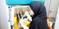 یک خبر بد؛ شیوع گونه H۳N۲ آنفلوآنزا در ایران
