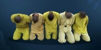 4 عنصر خطرناک داعش به دام افتادند