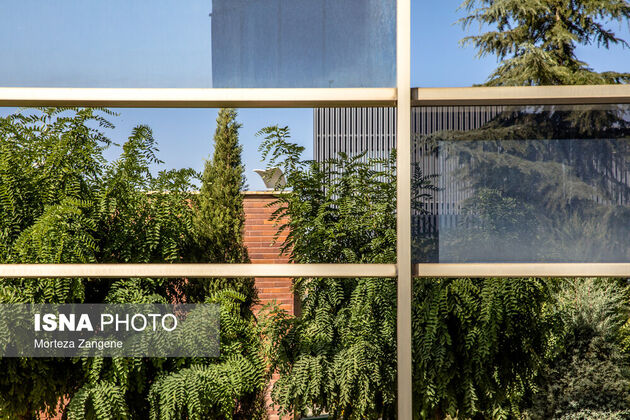 62075301_zangene-isna-3