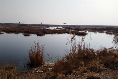 تالاب بختگان جان گرفت 2