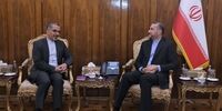 دیدار سفیر جدید ایران در ژاپن با امیرعبداللهیان