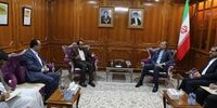 دیدار و گفتگوی امیرعبداللهیان با مقام ارشد نجات ملی یمن