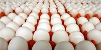 توزیع تخم مرغ ارزان قیمت در میادین