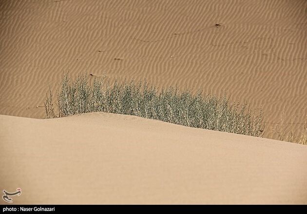 image13