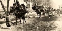 از تهران فرار کنید