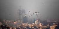 آلودگی هوا به شهرهای بزرگ برمی‌گردد