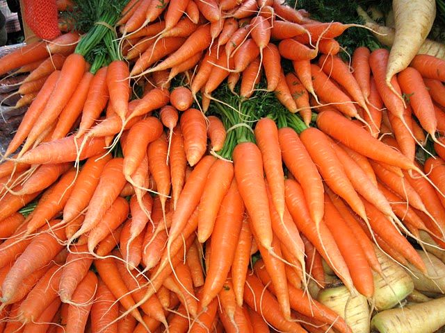 قیمت هویج رکورد زد 