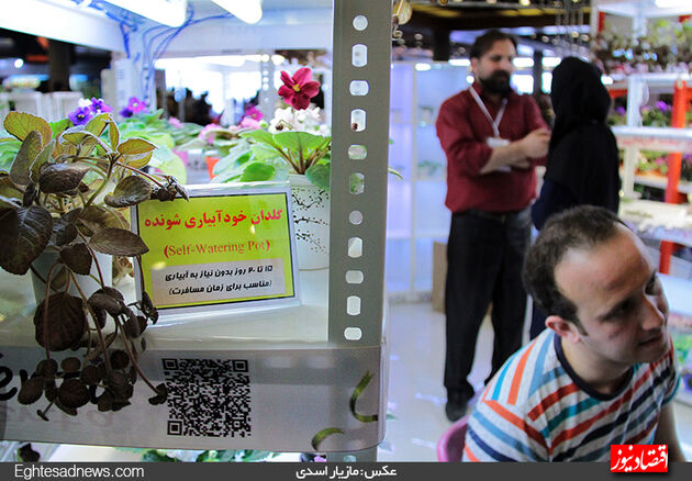 گزارش تصویری آخرین روز نمایشگاه گل‌وگیاه تهران