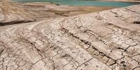مسعود تابش: توسعه با انتقال آب ممکن نیست | میلیاردها تومان هزینه سدهایی شد که اصلا پشت آن آبی جمع نشده است