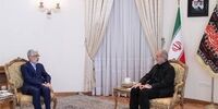 حداد عادل به دیدار پزشکیان رفت/ انتخابات در ایران تجلی مردم‌سالاری دینی است