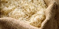 برنج هاشمی و طارم ارزان شد + قیمت انواع برنج ایرانی 
