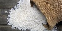 پشت پرده گرانی قیمت برنج / راه ارزان شدن این کالای اساسی چیست؟