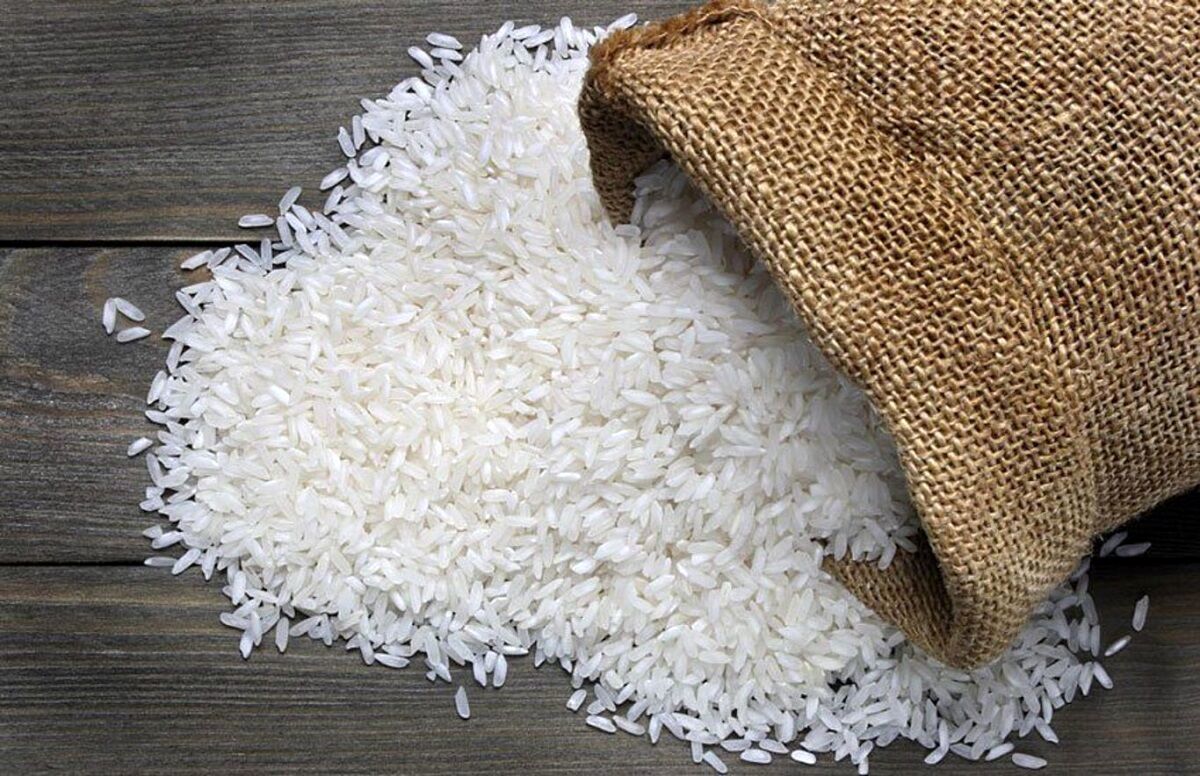 سقوط قیمت برنج هندی