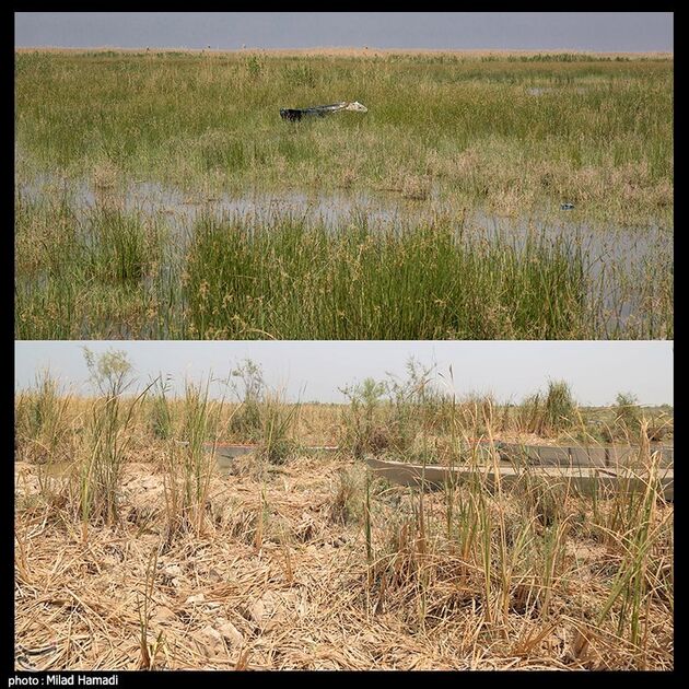 image10