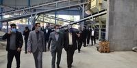 مدیرعامل بانک ملت از گروه تولیدی ناصری در شهرستان بیرجند بازدید کرد