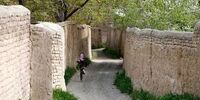 برنامه تازه زاکانی؛ باغات کَن تخریب می‌شوند؟
