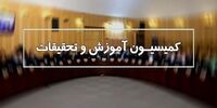 انتقاد تند رئیس کمیسیون آموزش از میرکاظمی/ فکر کرده‌ای لوتی هستی که گزارش نمی‌دهی؟+فیلم