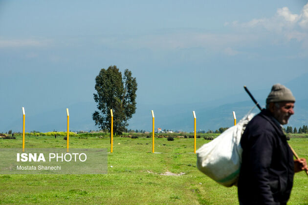 62239778_mazandaran-isna-4