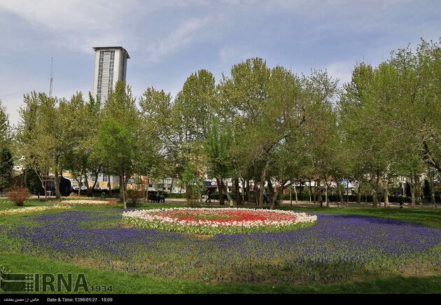 جشنواره گل ها در مشهد