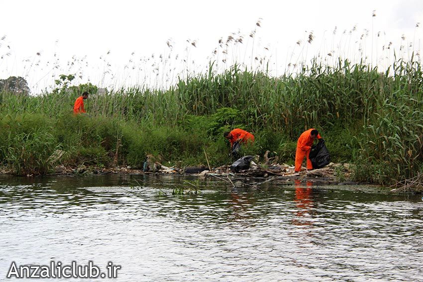 رونمایی از سناریوی 17 میلیاردی احیای تالاب انزلی
