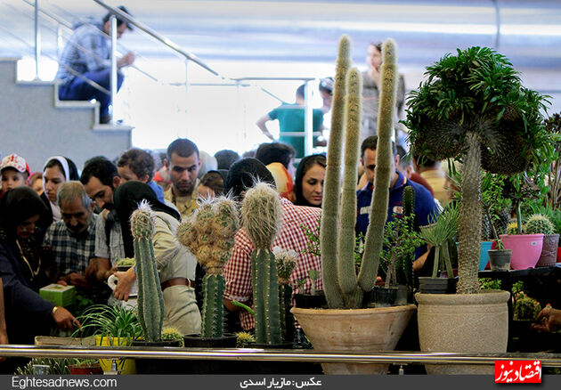 گزارش تصویری آخرین روز نمایشگاه گل‌وگیاه تهران