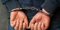   پلیس اینترپل 6 متهم اقتصادی را به کشور بازگرداند