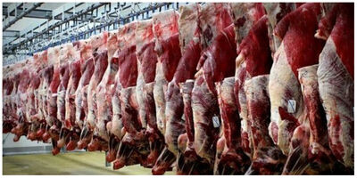 کاهش 30 درصدی عرضه گوشت قرمز