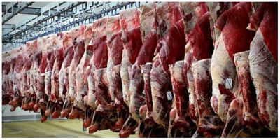 کاهش 30 درصدی عرضه گوشت قرمز