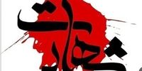 شهادت دو مامور پلیس در پی حمله اشرار به گشت انتظامی در سیستان و بلوچستان