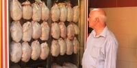 سقوط آزاد قیمت مرغ 
