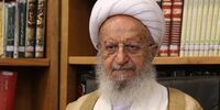 روایت آیت‌الله مکارم شیرازی از خنجر کشیدن به روی او در پیاده‌روی اربعین/ اینقدر علاقه به زوار داشتند
