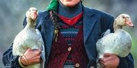 الناز شاکردوست بهترین بازیگر زن در جشنواره بین المللی مراکش شد