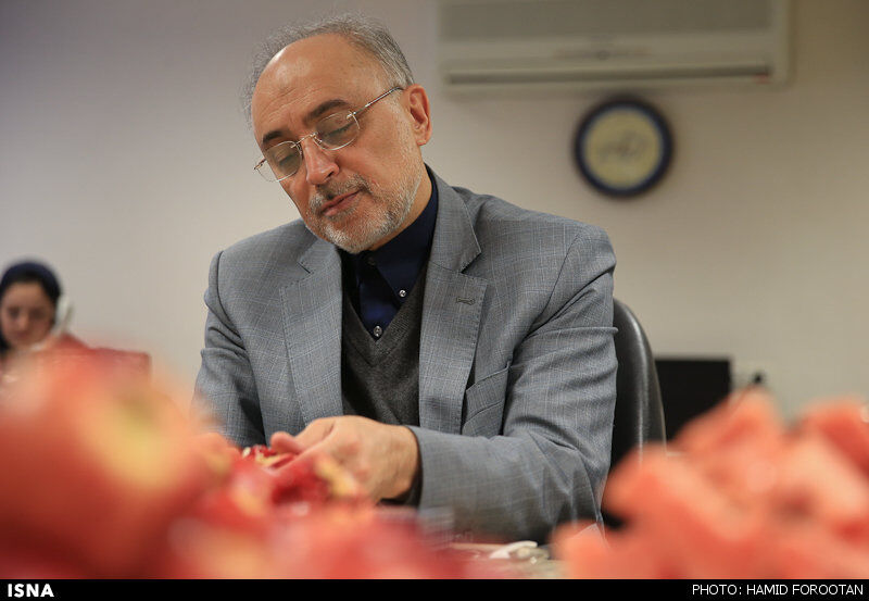 صالحی: جمع‌آوری سانتریفیوژهای اضافی خود را آغاز کرده‌ایم