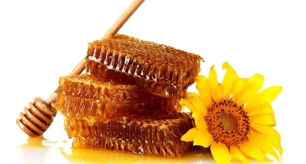 چرا عسل «کم» صادر می کنیم؟