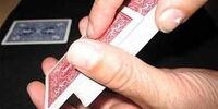 دستگیری ۹۸ نفر از گردانندگان سایت‌های قمار در مشهد

